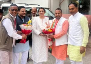 भाजपा की जिला स्तरीय संगठनात्मक कार्यशाला का आयोजन।